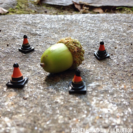 miniature figure photography - acorn in cones #miniature