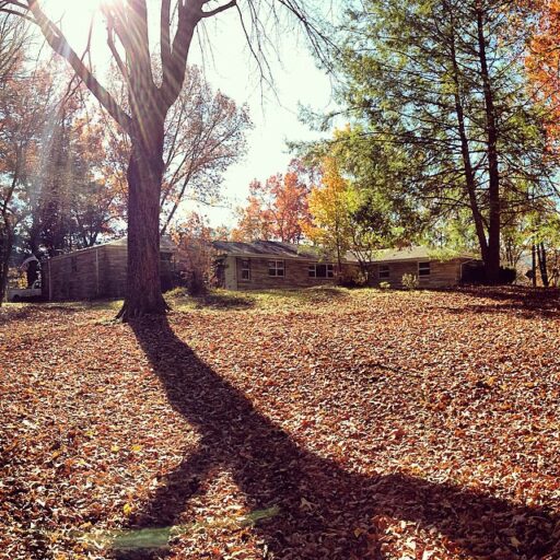 house on the hill