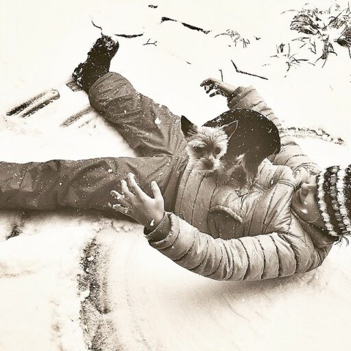 snowangel