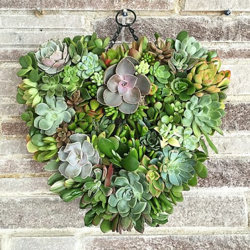 Heart Shaped Succulent Wreath