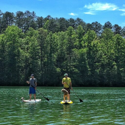 paddleboarding