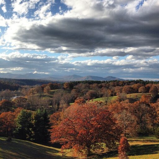 biltmorehouse6