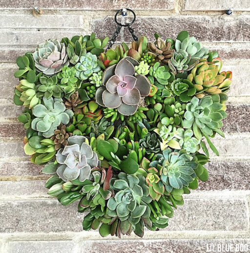 succulentwreath