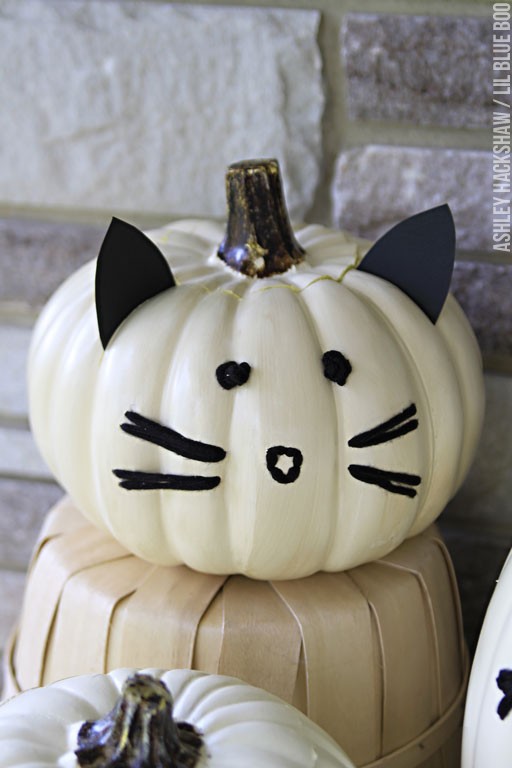 cat no carve pumpkin decorating ideas