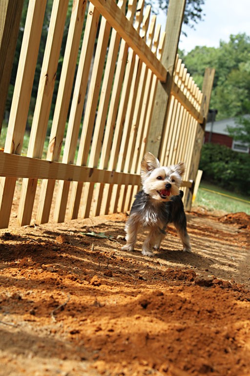 How to Install a Picket Fence