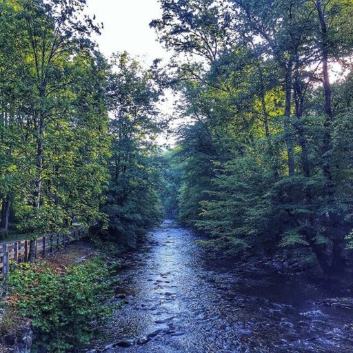 Deep Creek in the Great Smoky Mountains National Park