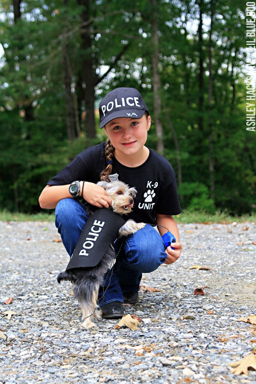 Homemade Pet Halloween Costumes