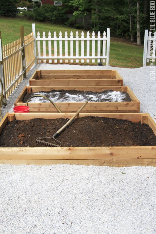 vegetable garden layout ideas