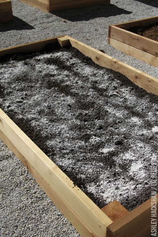 The Best Soil for a Raised Bed Vegetable Garden