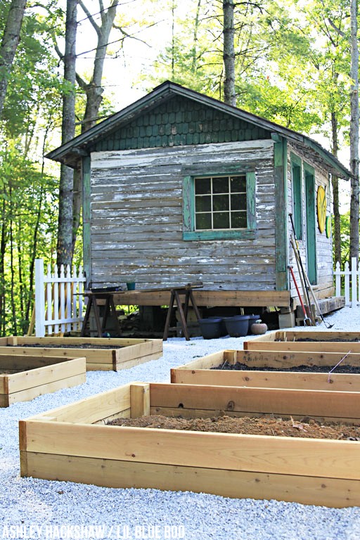 Type of wood for raised garden bed