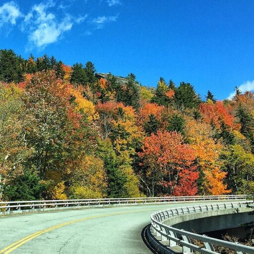 Fall Color Report in the Great Smoky Mountains - Blue Ridge Parkway 