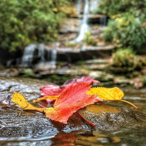 Deep Creek - Bryson City - Fall Color in the Smoky Mountains 