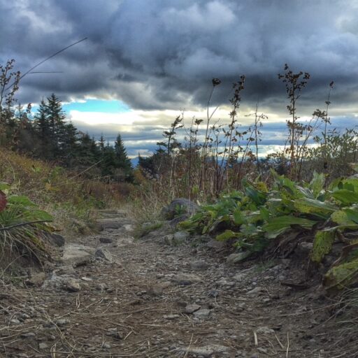 Waterrock Knob Trail in the Great Smoky Mountains and Balsams 