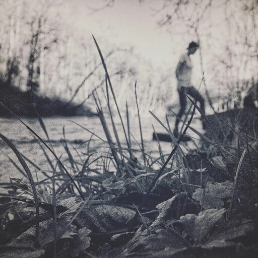 ivyriver