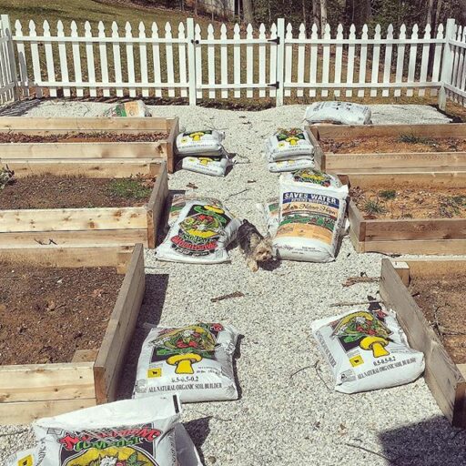 The Amateur Farmer - Starting the spring garden