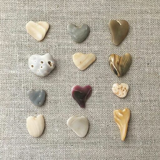 Heart shaped seashells and rocks