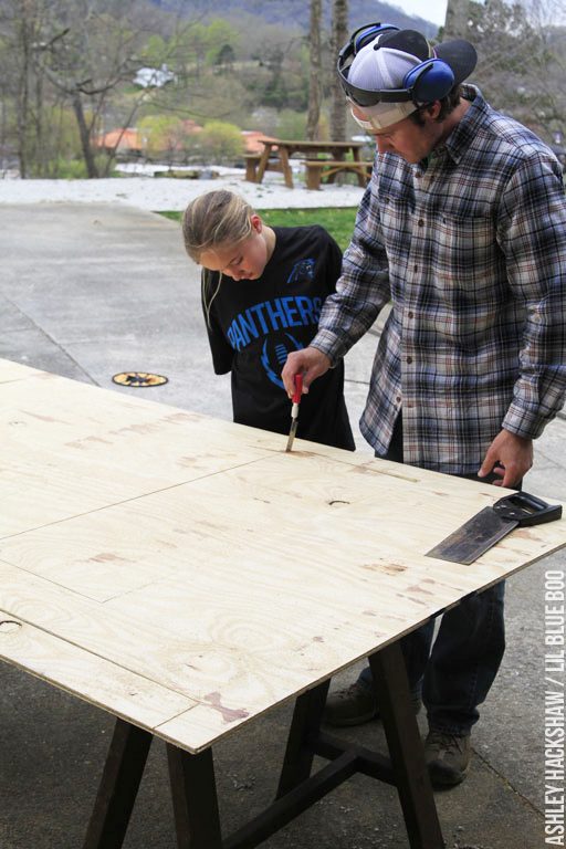 Convert Existing Shed into Chicken Coop for Low Cost