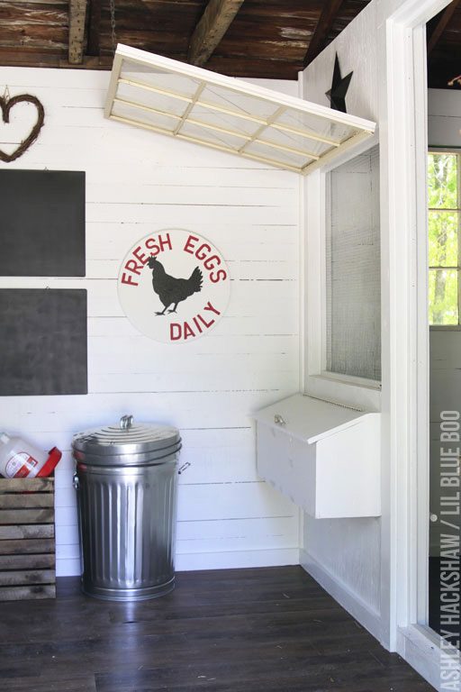 DIY chicken coop design - converting an existing shed to a chicken coop 