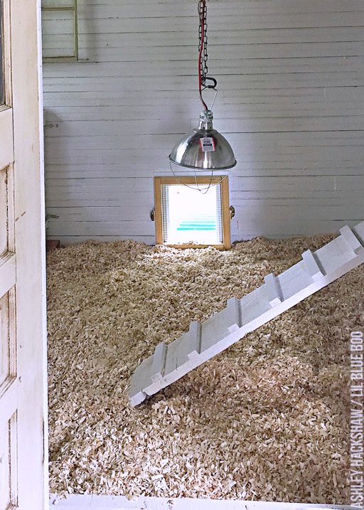 Chicken Coop Bedding