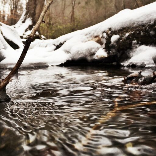 Frozen River