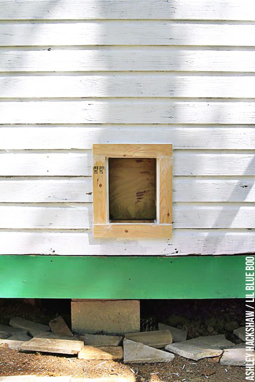 building backyard chicken coop