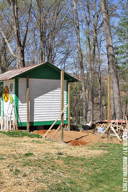 building a large predator proof chicken run and coop