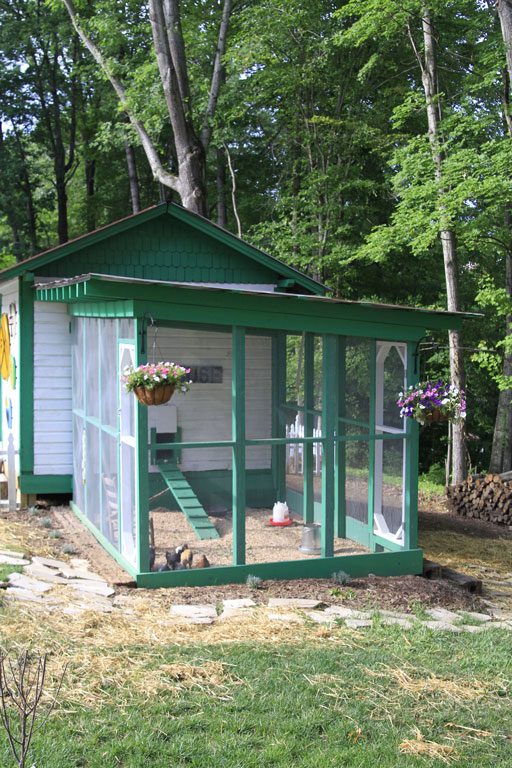 Best Chicken Run Designs - Easy to clean chicken coop 