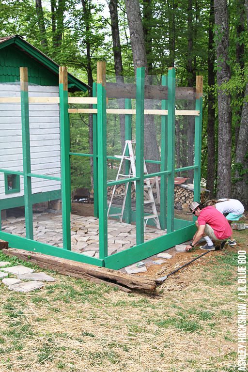 Predator Proofing Your Chicken Coop and Run