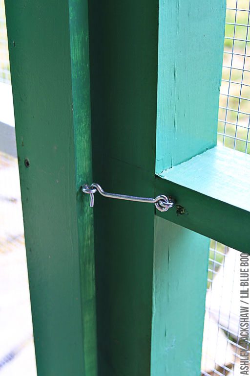 chicken coop door security