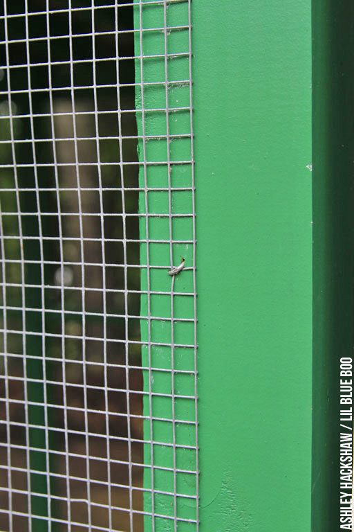 How to secure hardware cloth and chicken wire to wood - chicken coop security