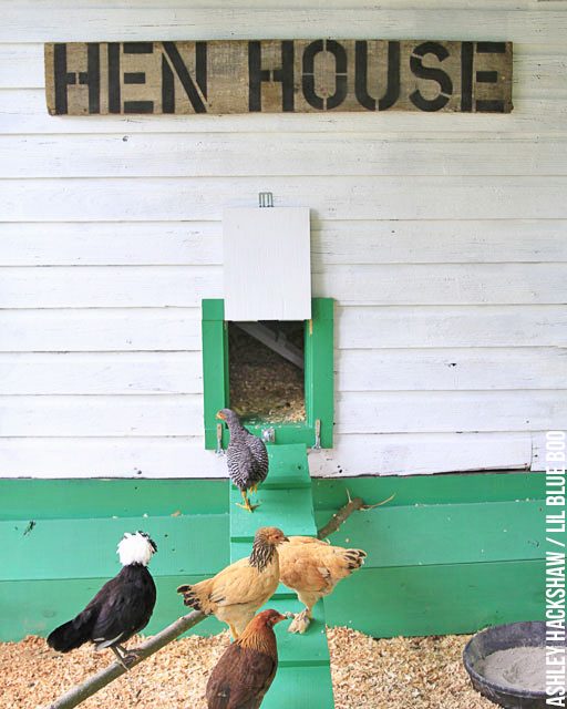 Chicken Coop Decor and Accessories - Hen House Sign 