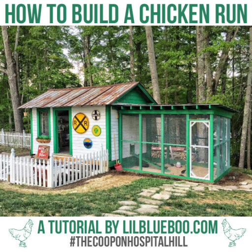 How to build a chicken run - step by step guide to designing and building a predator proof chicken run and coop 