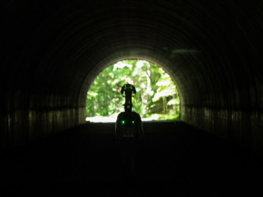 Lake View "Road to Nowhere" Tunnel - Google Trekker Trail Views 