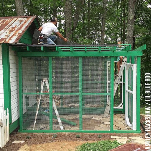 chicken run roof materials