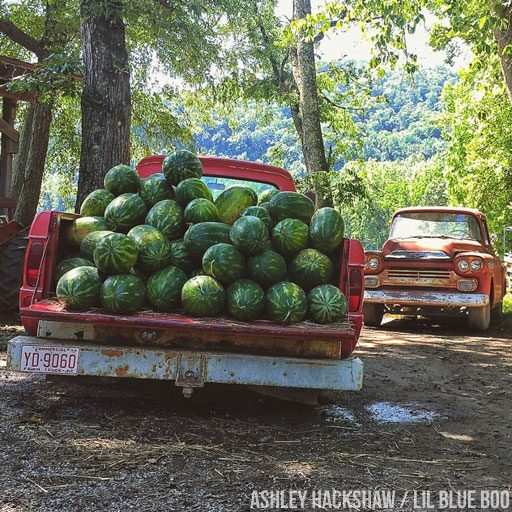 Darnell Farms Bryson City - Local Produce