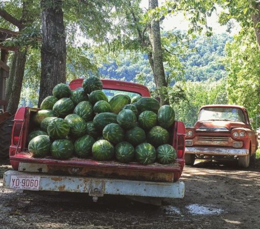 Dog Days of summer - watermelon from Darnell Farms