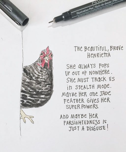 Chicken Chronicles: Stealth Mode - Chicken Stories from the Coop on Hospital Hill 