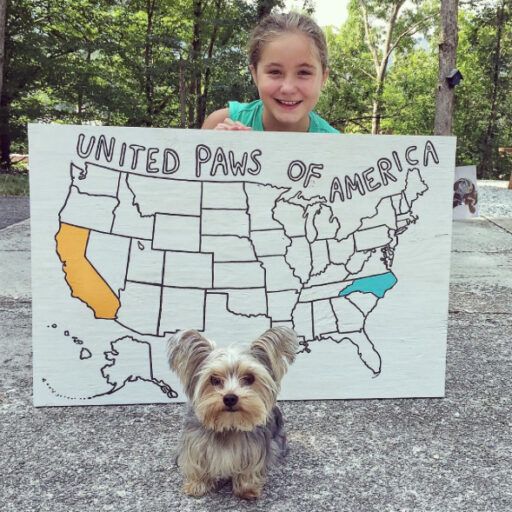 Love of Animals - United Paws of America raising money by state