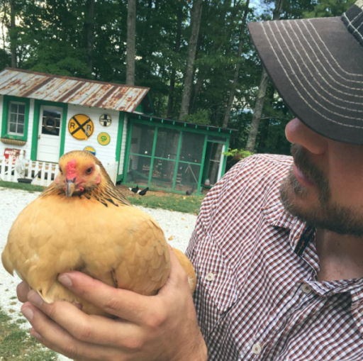 chickenwhisperer