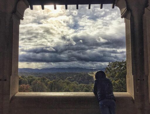 I am the storm - Biltmore estate