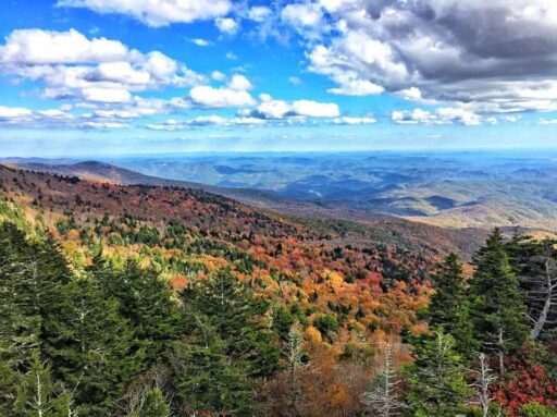 fallleaveswnc4
