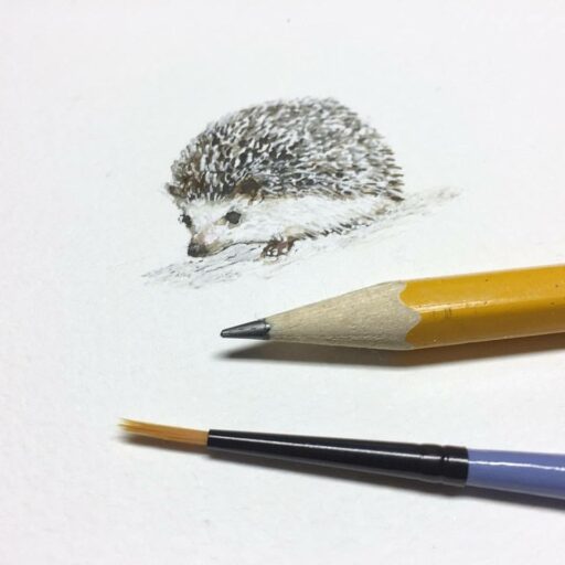 Tiny Hedgehog painting in Watercolor - Week 3 Painting a Day 365 Project - Ashley Hackshaw 