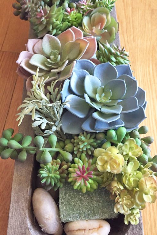 Creating a succulent arrangement that looks real