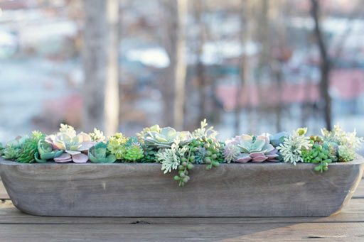 Decorating a table with succulents - table decor for all seasons and weddings etc 