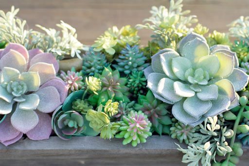 Artificial Succulents from Michaels - Succulent arrangements centerpiece DIY 