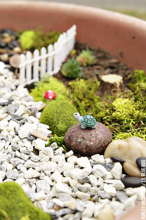 Fairy Garden Container Ideas