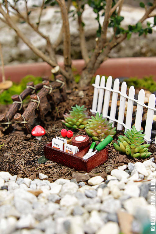 Fairy Garden for Small Spaces