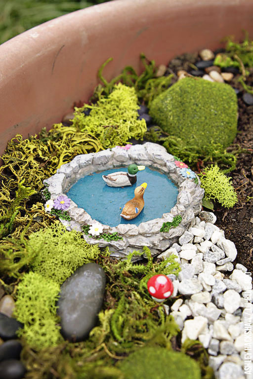 Fairy Garden Pond