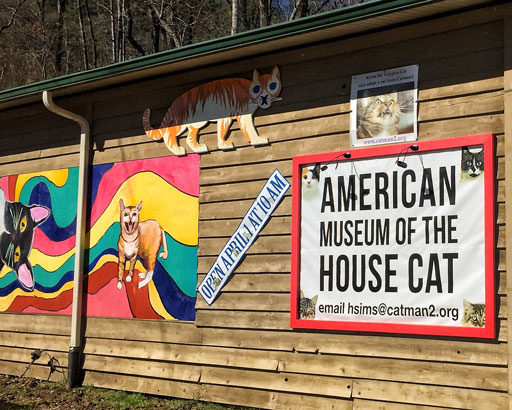 Museum Devoted Entirely To Cats - The American Museum of the House Cat 