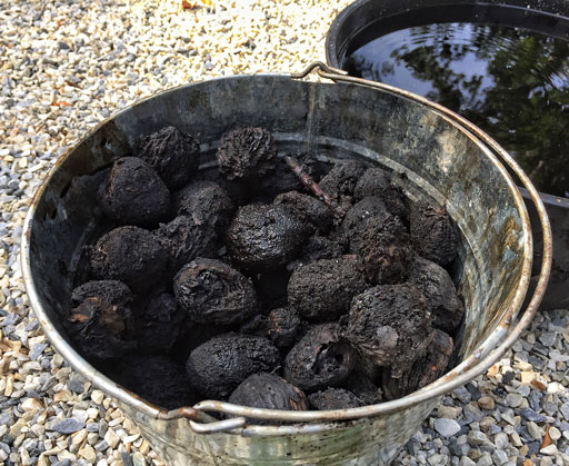 Cast Iron Scrub with Natural Walnut Husks